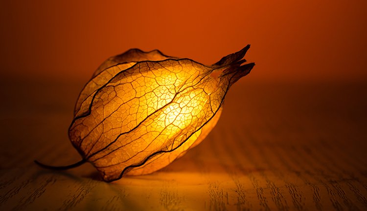 贝斯特--全球最奢华的游戏平台