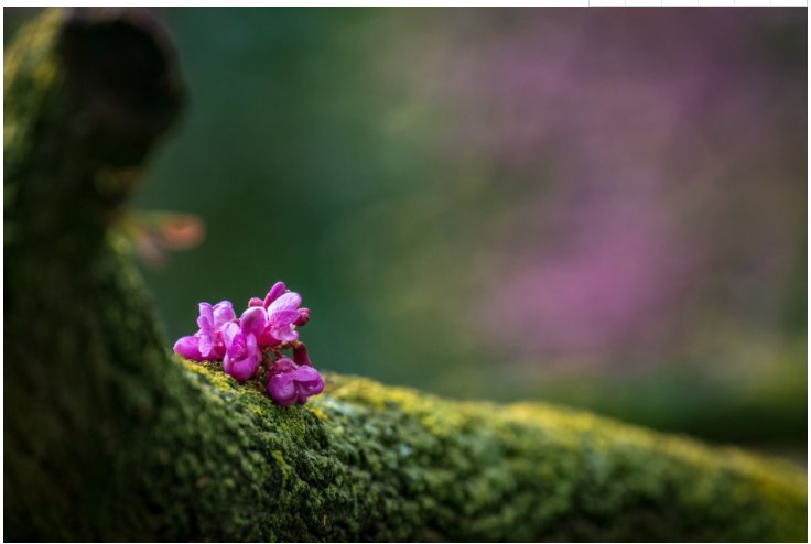 贝斯特--全球最奢华的游戏平台