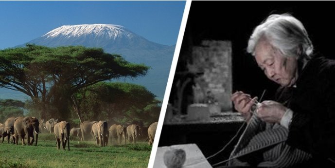 贝斯特--全球最奢华的游戏平台