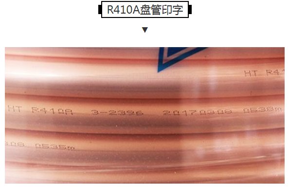 贝斯特--全球最奢华的游戏平台